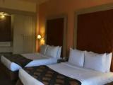 Luxury Studio Suite