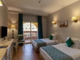 Standard Double room with view