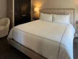 Gotham Skyline Double Suite