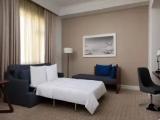 1 Bedroom Vice-Presidential Double Suite