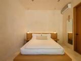 Double Maya Suite