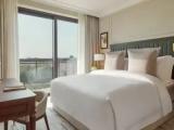 Deluxe Double Suite with balcony and with garden view