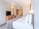 Standard Triple room with land view