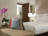 1 Bedroom Deluxe Double Suite