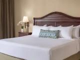 Double room Resort View