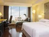 Premium Level Double Suite