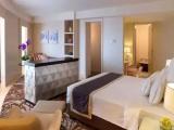 Executive Double Suite