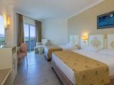 Standard Triple room with land view