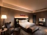 Executive Double Suite
