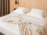 Executive Double Suite
