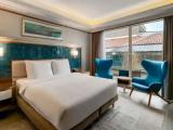 Superior With Terrace Double Apartment