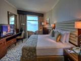 Double Panoramic Suite with mountain view