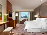 Executive Double Club room with city view