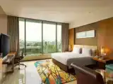 Deluxe room with panoramic view
