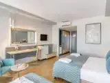 Standard Triple room with land view