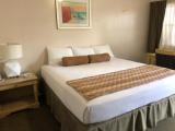 Basic Single room