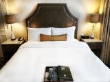 Wild Rose Suite