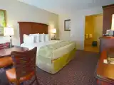 ADA Accessible Roll In Shower Double room
