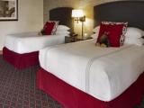 Quadruple Suite with city view