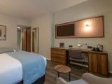 Deluxe Accessible Double room