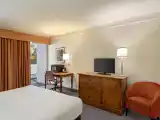 Double Studio Suite