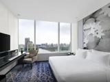 Executive Double Suite