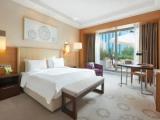 Deluxe Terrace Double room