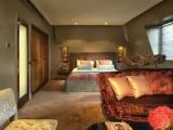 Double Studio Suite