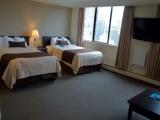 Studio Suite