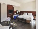 Double Junior Suite Garden