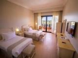 Triple room with pool view