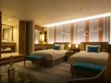 Double Junior Suite with Mountain Fuji view