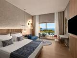 Deluxe Adult Double Swim Up with sea view