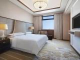 High Floor Large Double Suite