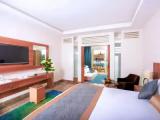 Deluxe Double room with garden view