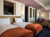 Luxury Twin room with view