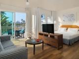 Double Junior Suite with pool view