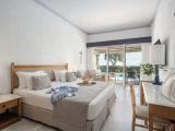 Garden Deluxe Pool Double room