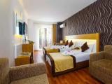 Large Triple room