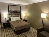 Accessible Double room