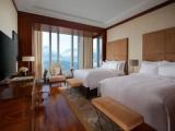 Deluxe Twin room Mountain view
