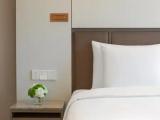 Business Double Suite