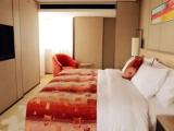 Executive Double Suite