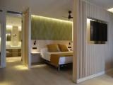 Premium with terrace Double room with sea view