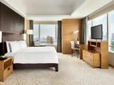 Premier Club Double room Park View