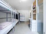 Bed in Dorm