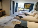 Standard Quadruple room with garden view