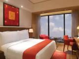 Deluxe Double room with city view
