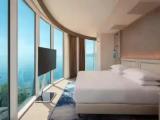 Panorama Double Suite with view