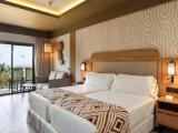 Double Junior Suite